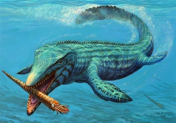 Mosasaurus Mosasaurus Pictures amp Facts The Dinosaur Database
