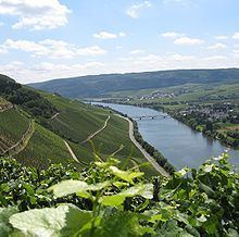 Moselle httpsuploadwikimediaorgwikipediacommonsthu