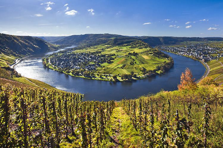 Moselle Valley alterraccmediaturobjimagesMoselleValley7jpg