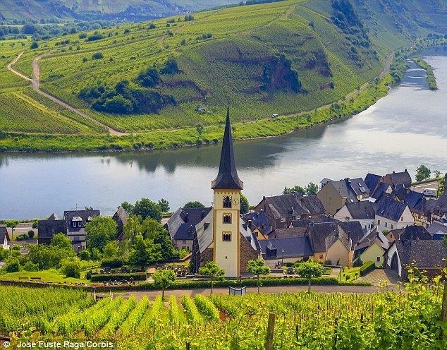 Moselle Valley Rieslings to be cheerful A marvellous meander up Germanys Mosel