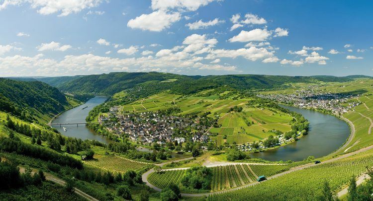 Moselle Valley The Moselle valley Holidays in one of Germany39s most beautiful