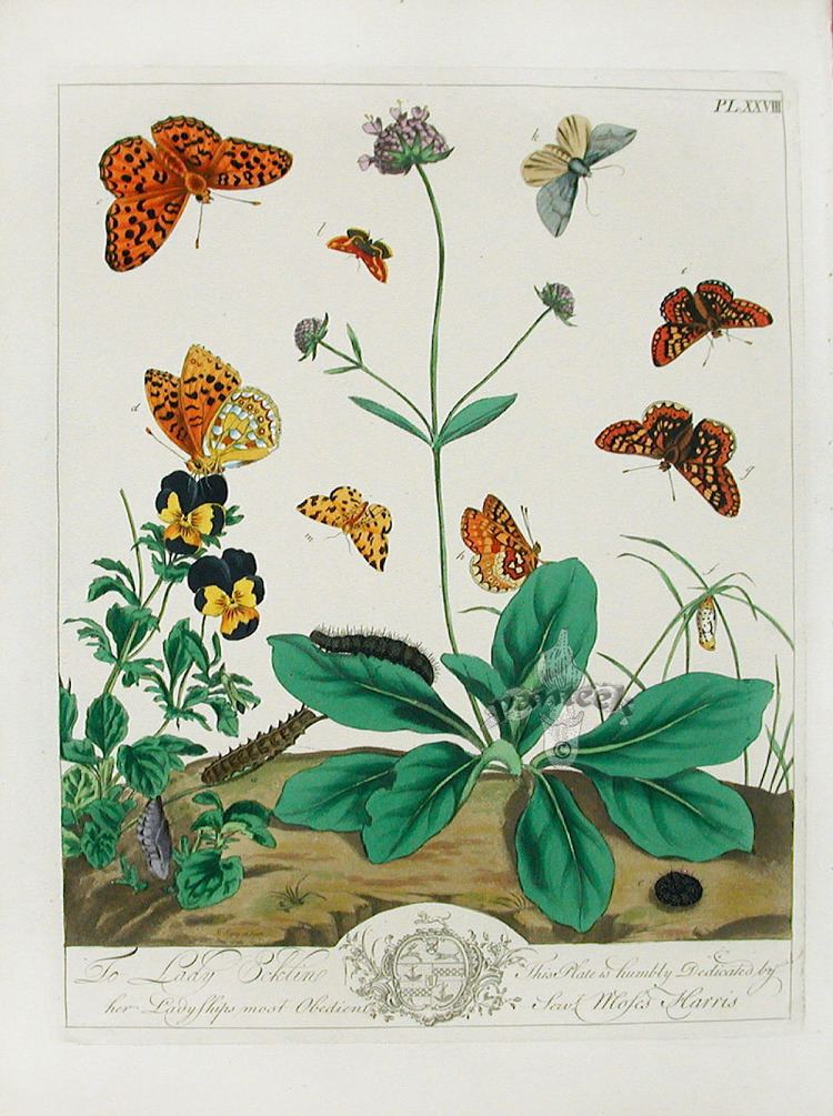 Moses Harris Moses Harris Butterfly Prints 1840