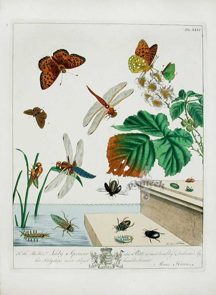 Moses Harris Moses Harris Butterfly Prints 1840