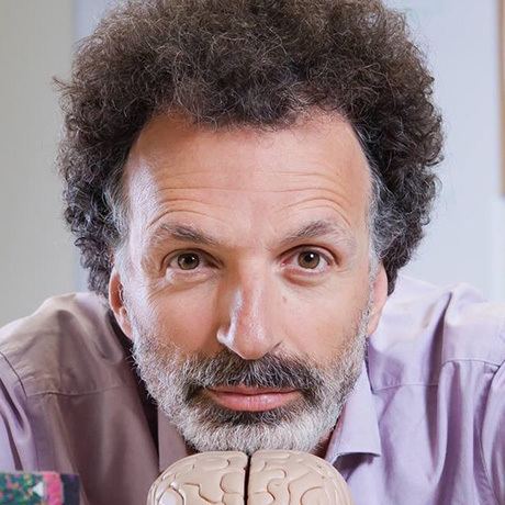 Moshe Bar (neuroscientist) httpswexnermedicalosuedumediaImagesWexne