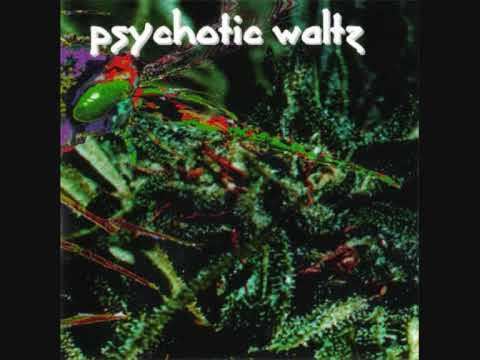 Mosquito (Psychotic Waltz album) httpsiytimgcomviWTiVFayC5qAhqdefaultjpg