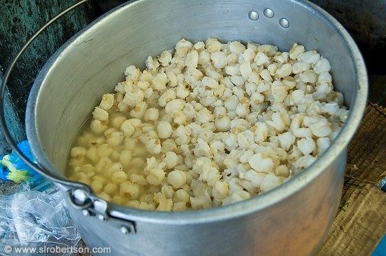 Mote (food) Stock Photos Ecuadorean Food Scott L Robertson Photography