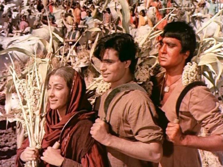 Mother India movie scenes Mother India Look at these two studs Yeah right here Behind me You don t see stock like this these days Good breeding it is 