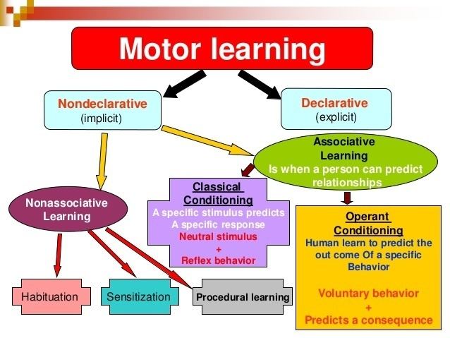 Motor learning Motor learning amp recovery of function