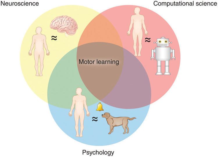 Motor learning Carrot or stick in motor learning Nature Neuroscience Nature