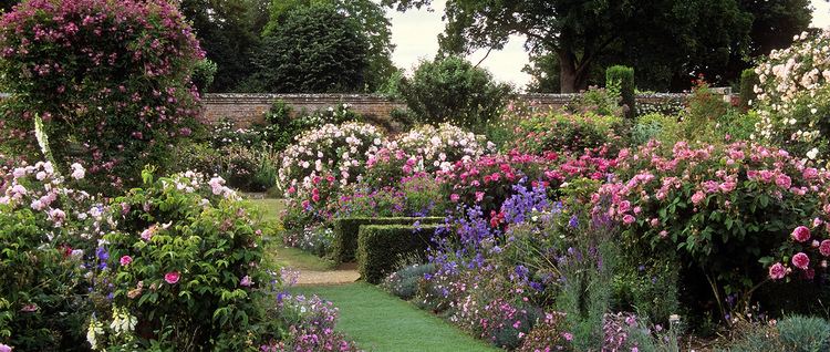 Mottisfont Abbey Mottisfont Abbey Rose Gardens Hampshire UK A first cla Flickr