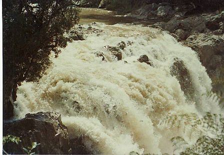 Motu River httpsuploadwikimediaorgwikipediaenthumba