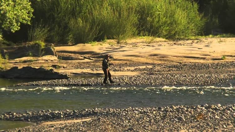 Motueka River httpsiytimgcomviimx9DZzlWDYmaxresdefaultjpg