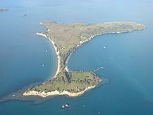 Motuihe Island httpsuploadwikimediaorgwikipediacommonsthu
