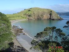 Motukawanui Island wwwdocgovtnzpagefiles16973motukawanuiisland