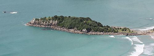 Moturiki Island httpsuploadwikimediaorgwikipediacommonsthu