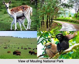 Mouling National Park National Park Arunachal Pradesh