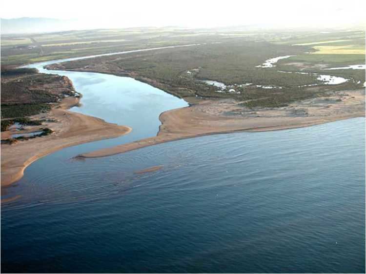 Moulouya River httpsuploadwikimediaorgwikipediacommonsee