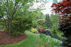 Mount Airy Arboretum httpsuploadwikimediaorgwikipediacommonsthu