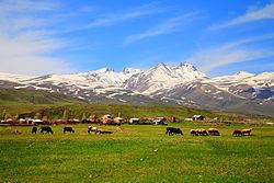 Mount Aragats httpsuploadwikimediaorgwikipediacommonsthu