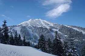 Mount Ashland httpsuploadwikimediaorgwikipediacommonsthu