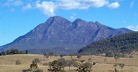 Mount Barney (Queensland) httpsuploadwikimediaorgwikipediacommonsthu