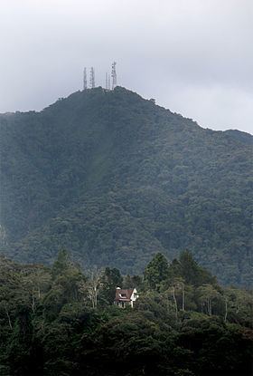 Mount Batu Brinchang httpsuploadwikimediaorgwikipediacommonsthu