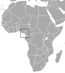 Mount Cameroon forest shrew httpsuploadwikimediaorgwikipediacommonsthu