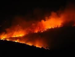 Mount Carmel Forest Fire (2010) httpsenviro1onlinefileswordpresscom201101