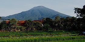 Mount Cereme httpsuploadwikimediaorgwikipediacommonsthu