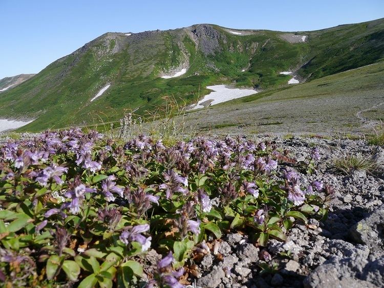 Mount Chūbetsu pdsexblogjppds12012081296f013809618175263jpg