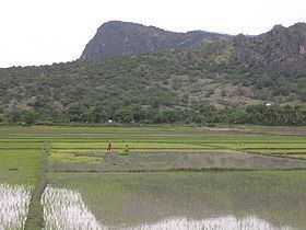Mount Curi httpsuploadwikimediaorgwikipediacommonsthu