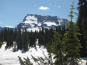 Mount Custer httpsuploadwikimediaorgwikipediacommonsthu