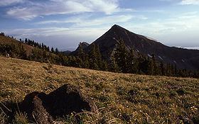 Mount Doane httpsuploadwikimediaorgwikipediacommonsthu