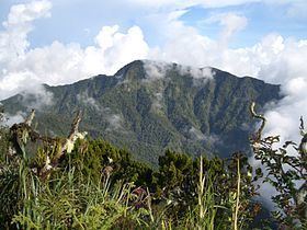 Mount Dulang-dulang httpsuploadwikimediaorgwikipediacommonsthu