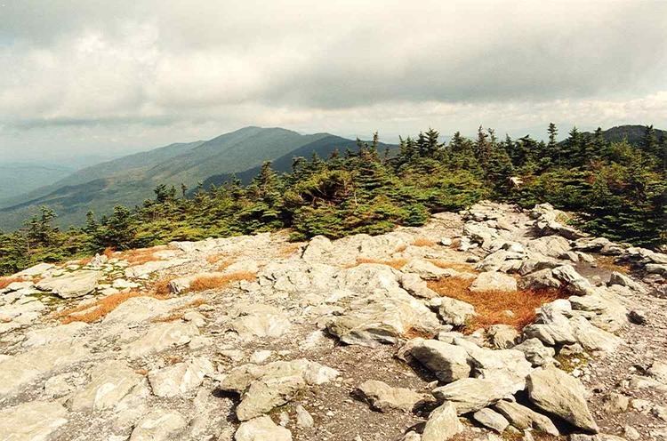 Mount Ellen (Vermont) httpsuploadwikimediaorgwikipediacommons77