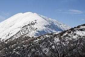 Mount Feathertop httpsuploadwikimediaorgwikipediacommonsthu