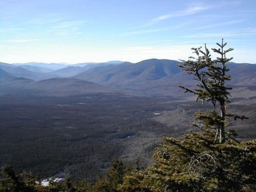 Mount Field (New Hampshire) wwwsummitpostorgimagesmedium34850JPG