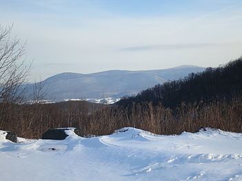 Mount Fitch (Massachusetts) httpsuploadwikimediaorgwikipediacommonsthu