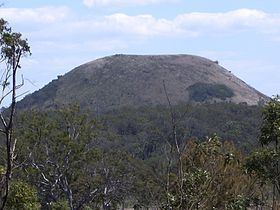 Mount Fox (Queensland) httpsuploadwikimediaorgwikipediacommonsthu