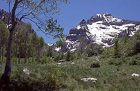 Mount Gilbert (Nevada) httpsuploadwikimediaorgwikipediacommonsthu