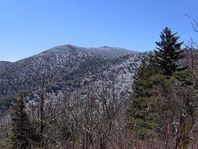 Mount Guyot (Great Smoky Mountains) httpsuploadwikimediaorgwikipediacommonsthu