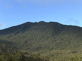 Mount Hamiguitan httpsuploadwikimediaorgwikipediacommonsthu