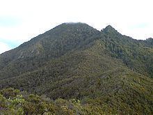 Mount Hobson (Great Barrier Island) httpsuploadwikimediaorgwikipediacommonsthu