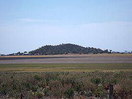Mount Irving, Queensland httpsuploadwikimediaorgwikipediacommonsthu