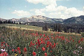 Mount Jefferson (Bitterroot Range) httpsuploadwikimediaorgwikipediaenthumbb