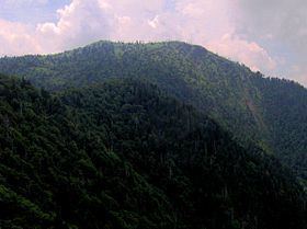 Mount Kephart httpsuploadwikimediaorgwikipediacommonsthu