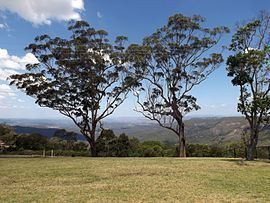 Mount Kynoch, Queensland httpsuploadwikimediaorgwikipediacommonsthu