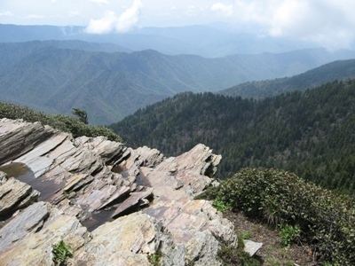 Mount Le Conte (Tennessee) wwwhikinginthesmokyscomsmokymountainsphotosm