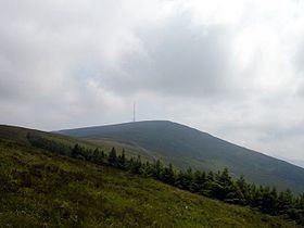 Mount Leinster httpsuploadwikimediaorgwikipediacommonsthu