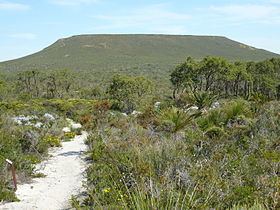Mount Lesueur httpsuploadwikimediaorgwikipediacommonsthu